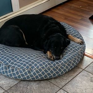 Meet your Posher, William